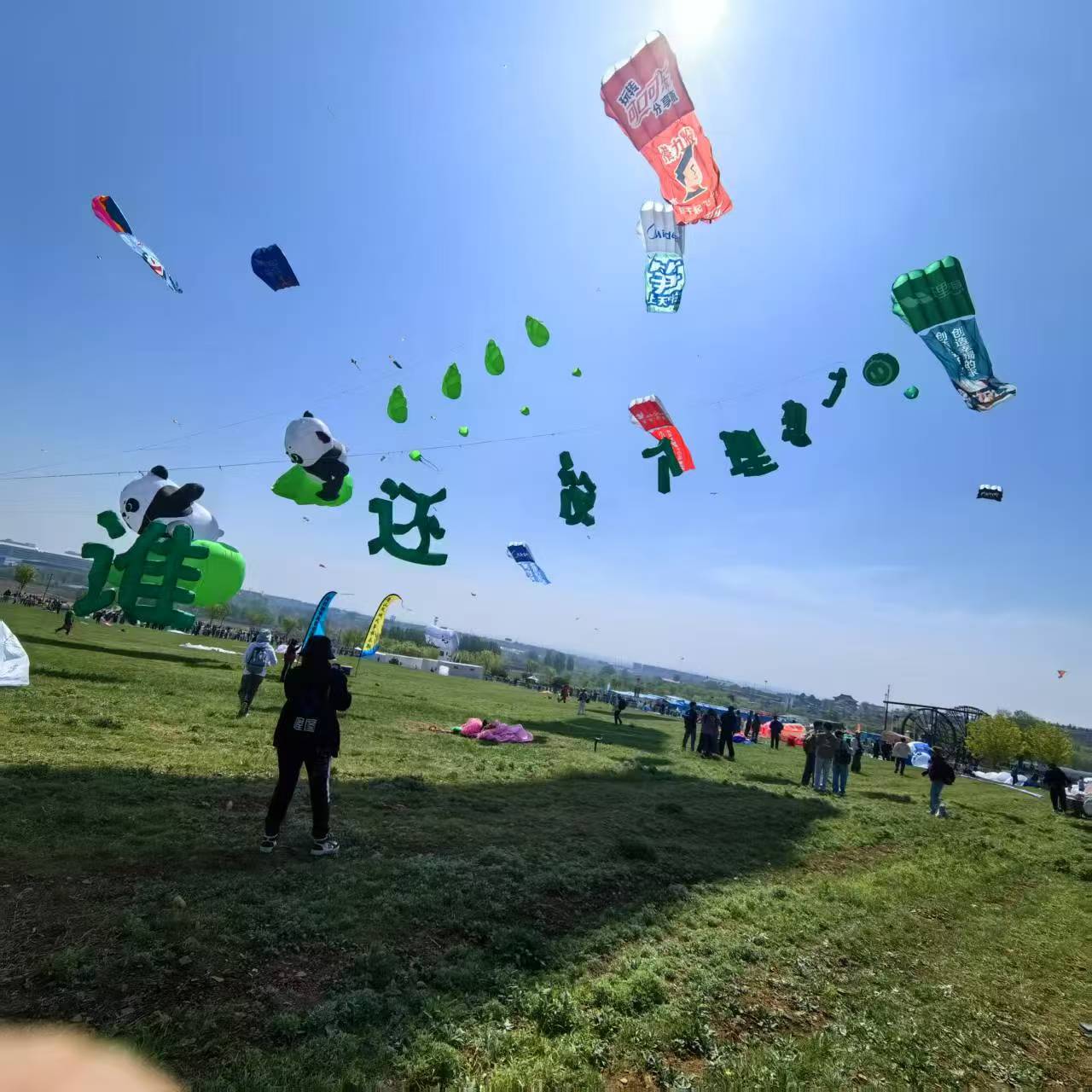 白山市风筝商业放飞风筝定制 - 方案